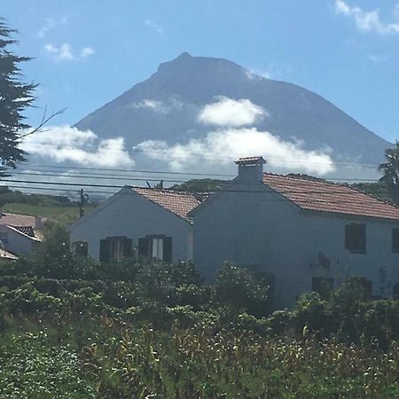 Home Pico - Casa Dos Cedros Criacao Velha Bagian luar foto